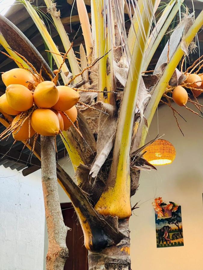 Mamba Otel Tangalle Dış mekan fotoğraf
