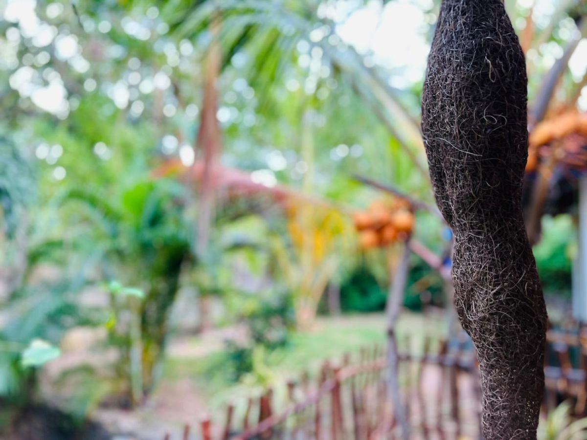 Mamba Otel Tangalle Dış mekan fotoğraf